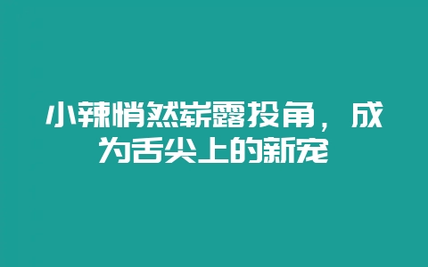 小辣悄然崭露头角，成为舌尖上的新宠-会东网