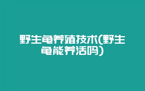 野生龟养殖技术(野生龟能养活吗)-会东网