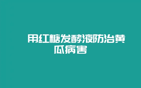 咋用红糖发酵液防治黄瓜病害-会东网