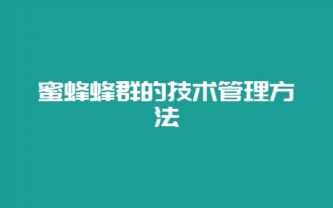 蜜蜂蜂群的技术管理方法-会东网