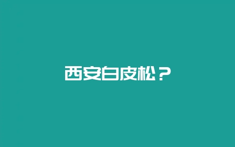 西安白皮松？-会东网