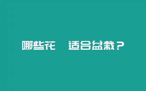 哪些花卉适合盆栽？-会东网