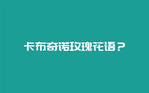 卡布奇诺玫瑰花语？-会东网