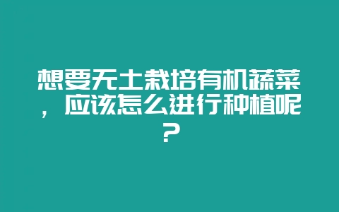 想要无土栽培有机蔬菜，应该怎么进行种植呢？-会东网