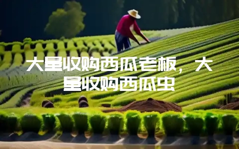 大量收购西瓜老板，大量收购西瓜虫-会东网