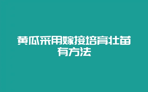 黄瓜采用嫁接培育壮苗有方法-会东网