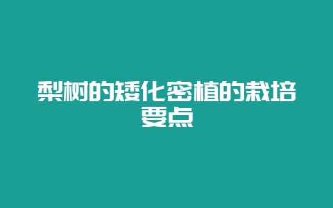 梨树的矮化密植的栽培要点-会东网