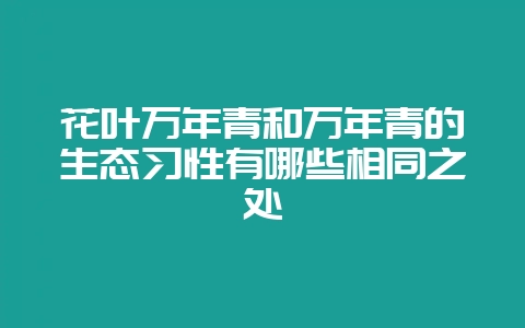 花叶万年青和万年青的生态习性有哪些相同之处-会东网