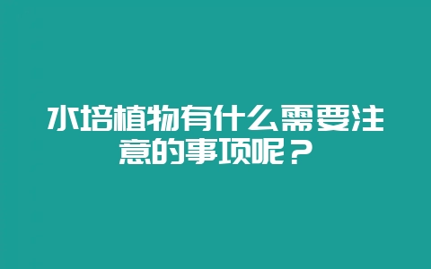 水培植物有什么需要注意的事项呢?-会东网