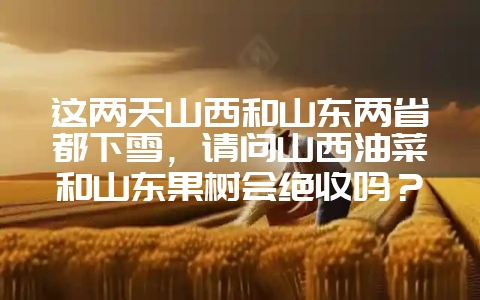 这两天山西和山东两省都下雪，请问山西油菜和山东果树会绝收吗？-会东网