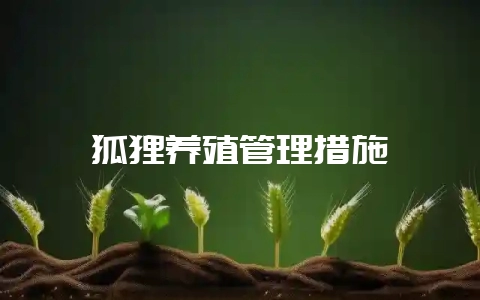 狐狸养殖管理措施-会东网