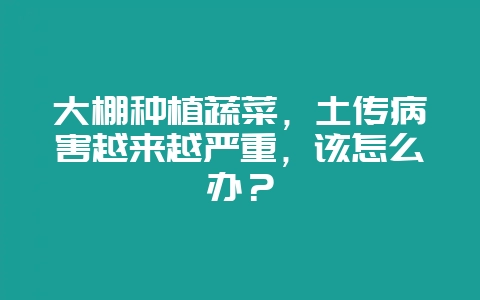 大棚种植蔬菜,土传病害越来越严重,该怎么办?-会东网