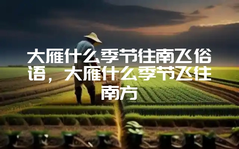 大雁什么季节往南飞俗语，大雁什么季节飞往南方-会东网