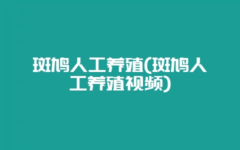 斑鸠人工养殖(斑鸠人工养殖视频)-会东网