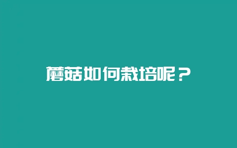 蘑菇如何栽培呢？-会东网