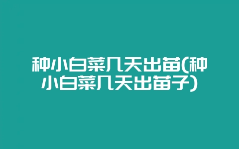 种小白菜几天出苗(种小白菜几天出苗子)-会东网