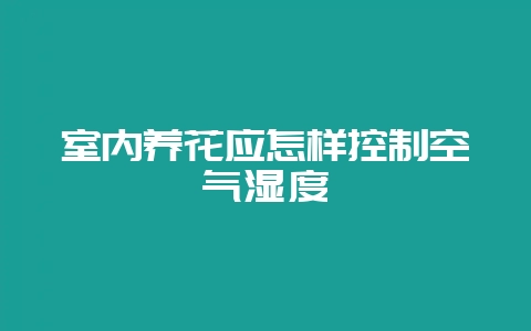 室内养花应怎样控制空气湿度-会东网