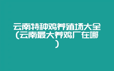 云南特种鸡养殖场大全(云南最大养鸡厂在哪)-会东网