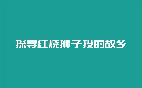 探寻红烧狮子头的故乡-会东网
