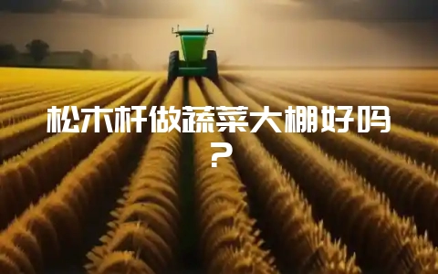松木杆做蔬菜大棚好吗?-会东网
