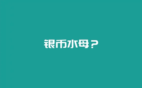 银币水母？-会东网