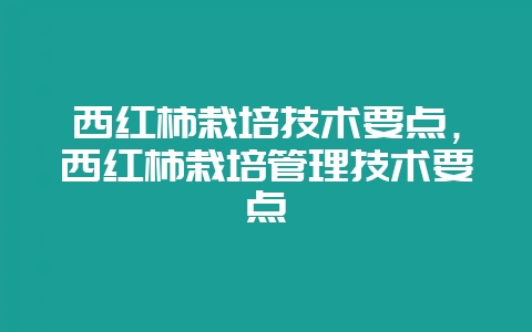 西红柿栽培技术要点,西红柿栽培管理技术要点-会东网