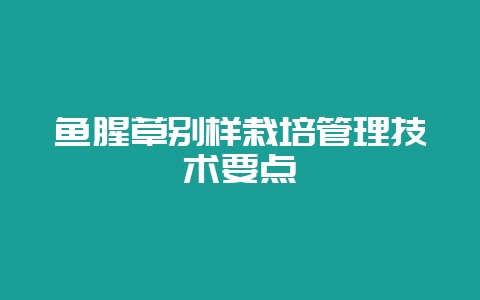 鱼腥草别样栽培管理技术要点-会东网