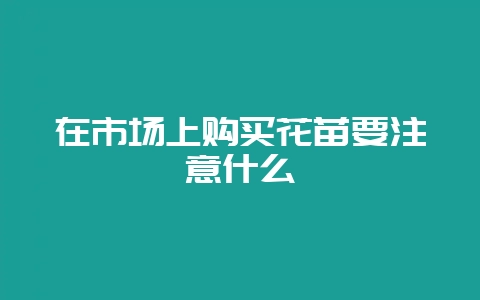 在市场上购买花苗要注意什么-会东网