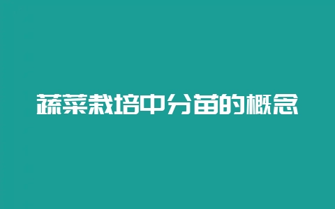 蔬菜栽培中分苗的概念-会东网