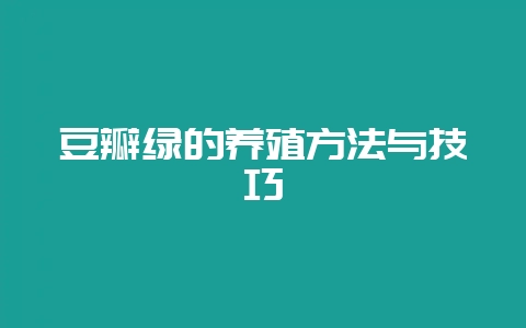 豆瓣绿的养殖方法与技巧-会东网