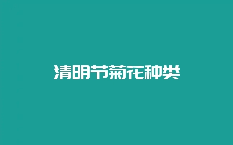 清明节菊花种类-会东网
