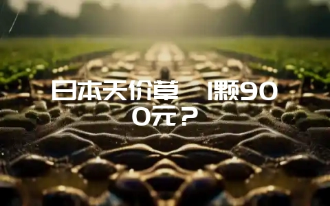 日本天价草莓1颗900元？-会东网