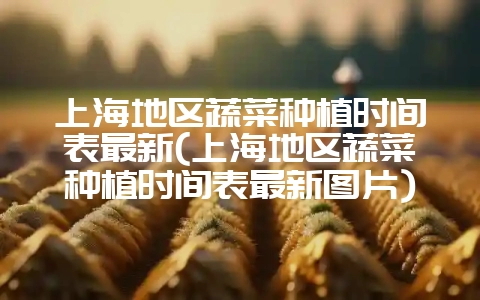 上海地区蔬菜种植时间表最新(上海地区蔬菜种植时间表最新图片)-会东网