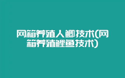 网箱养殖人鲫技术(网箱养殖鲤鱼技术)-会东网