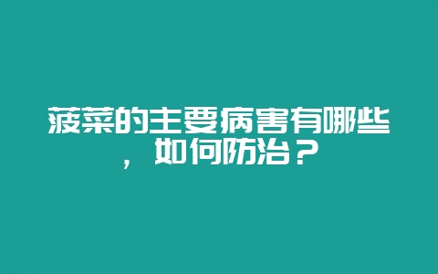 菠菜的主要病害有哪些，如何防治？-会东网
