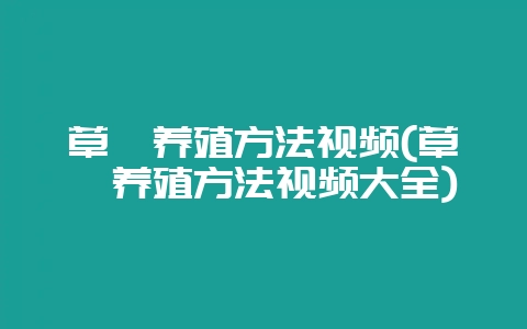 草莓养殖方法视频(草莓养殖方法视频大全)-会东网
