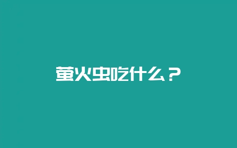 萤火虫吃什么？-会东网