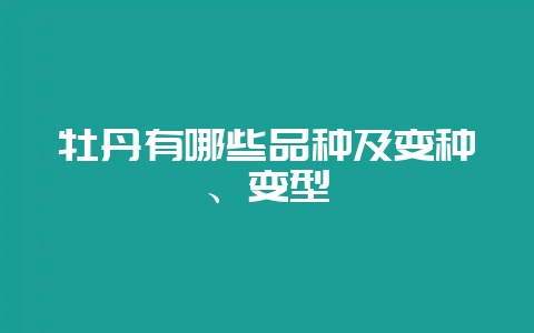 牡丹有哪些品种及变种、变型-会东网