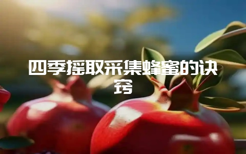四季摇取采集蜂蜜的诀窍-会东网