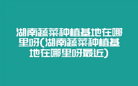 湖南蔬菜种植基地在哪里呀(湖南蔬菜种植基地在哪里呀最近)-会东网