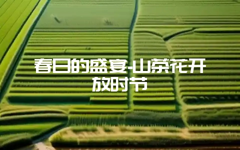 春日的盛宴-山茶花开放时节-会东网