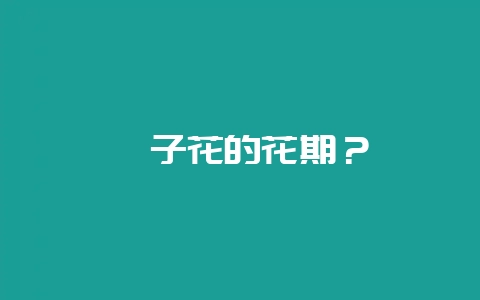 栀子花的花期？-会东网