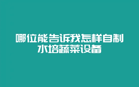 哪位能告诉我怎样自制水培蔬菜设备-会东网