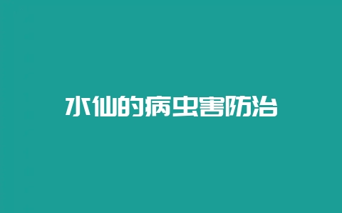 水仙的病虫害防治-会东网