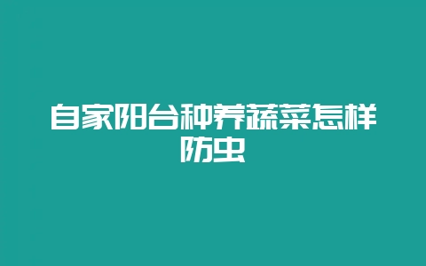 自家阳台种养蔬菜怎样防虫-会东网