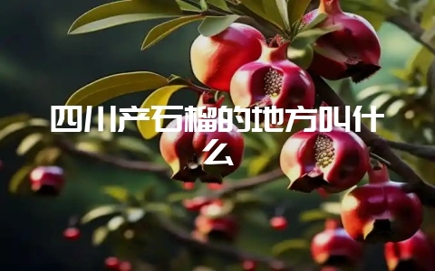 四川产石榴的地方叫什么插图 四川产石榴的地方叫什么插图
