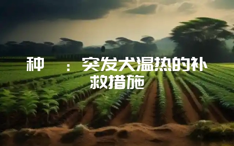 种貉：突发犬温热的补救措施-会东网