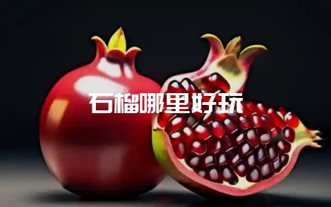 石榴哪里好玩-会东网