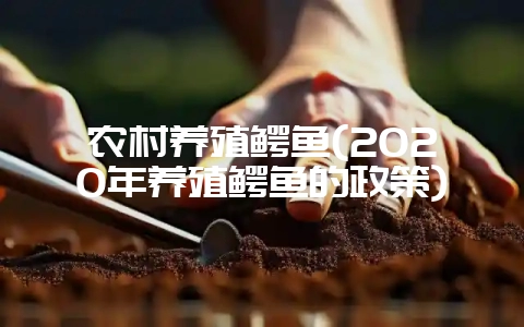 农村养殖鳄鱼(2020年养殖鳄鱼的政策)-会东网