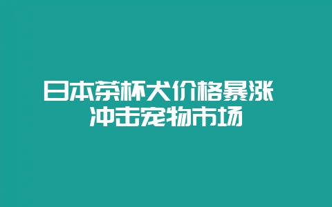 日本茶杯犬价格暴涨 冲击宠物市场-会东网
